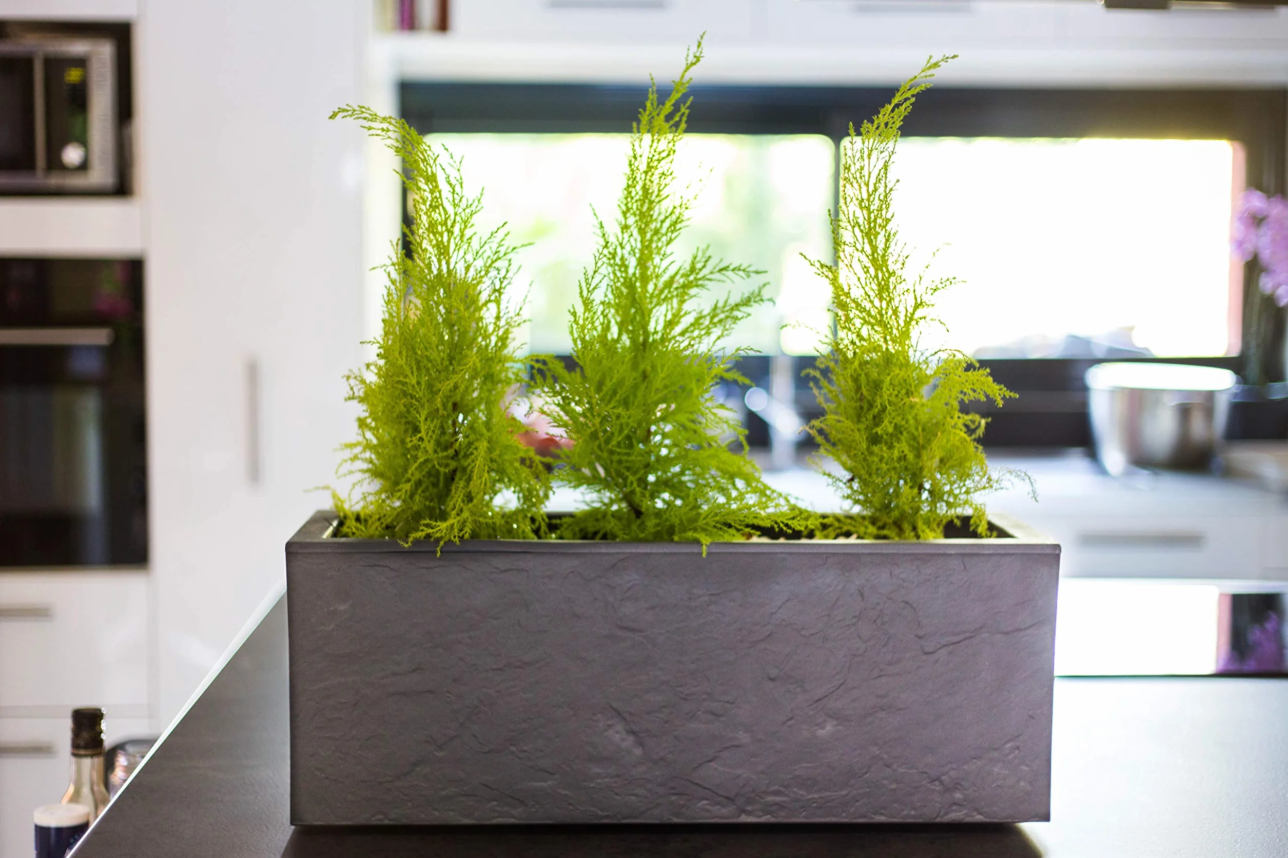 EDA - Volcania'Up skrzynka balkonowa 25 l – wygląd kamienia – jednościenna – strefa zbierania wody – 59 x 19,5 x 22,8 cm – antracytowo-szara