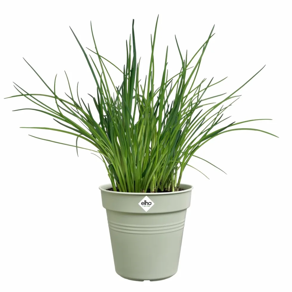 elho Green Basics doniczka do uprawy 15, doniczka na kwiaty do uprawy i zbiorów, Ø 15,0 x wys. 13,9 cm, zielona/kamienna zieleń