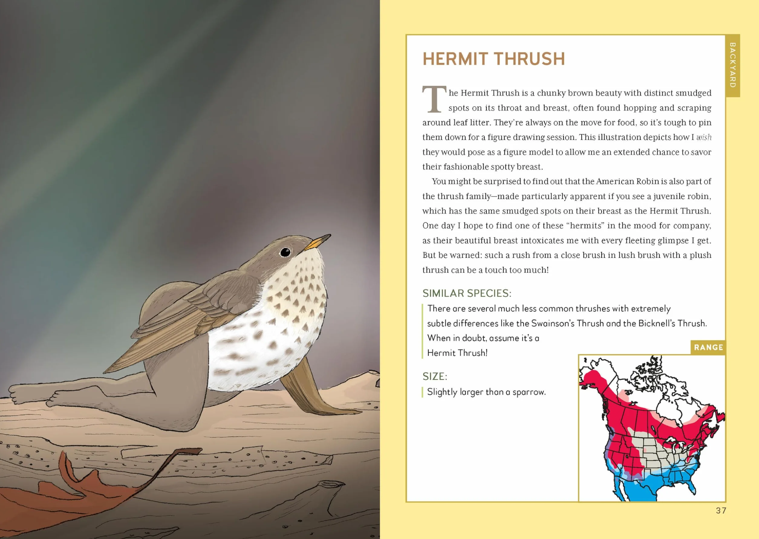 Extremely Accurate Birds: An Anatomically Precise Field Guide to Common Backyard Birds of North America