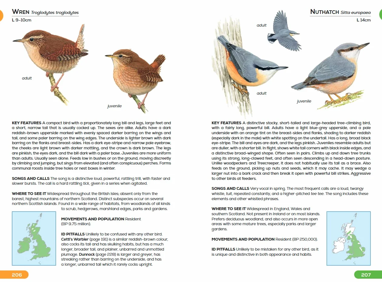 RSPB Pocket Guide to British Birds