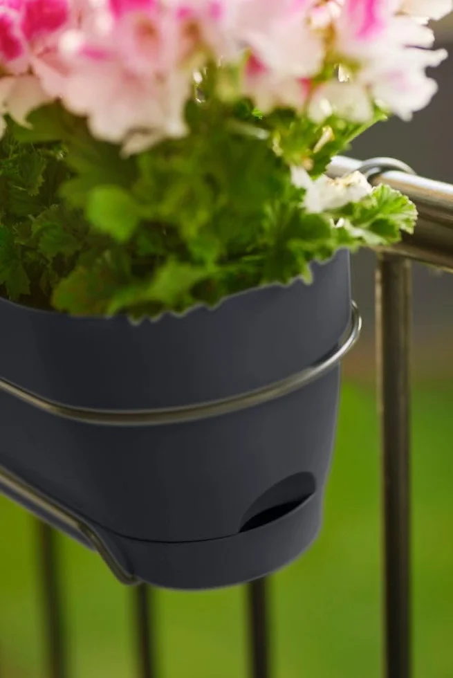 elho Vibia Campana Allin1 50 skrzynka balkonowa ze zbiornikiem na wodę, balustrada balkonowa, w 100% z plastiku pochodzącego z recyklingu, Ø 50,4 x wys. 17,7 cm, czarna/antracytowa