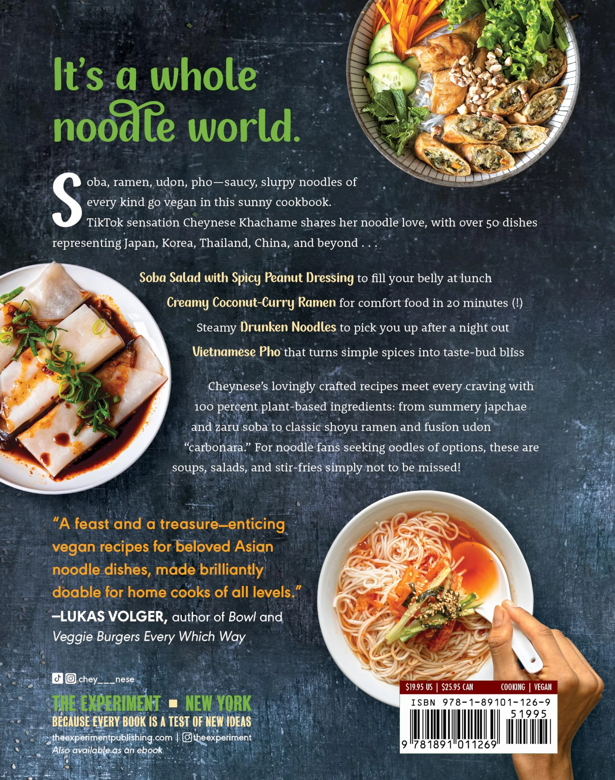 Oodles and Oodles of Vegan Noodles: Soba, Ramen, Udon & More - Easy Recipes for Every Day