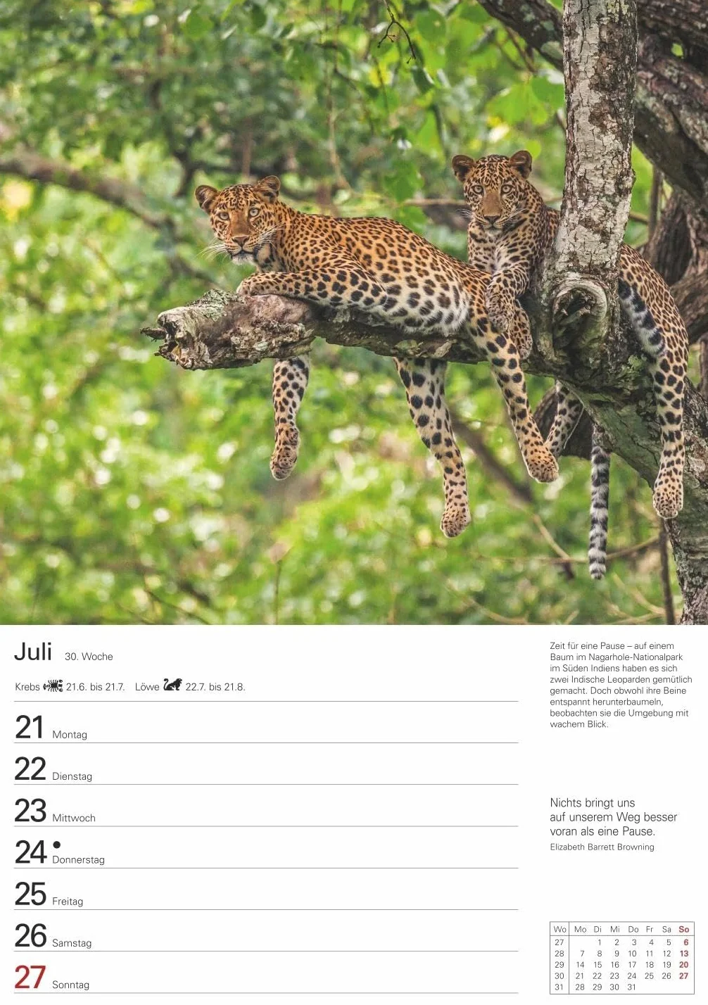 Wunder der Natur Wochenplaner 2025 - 53 Blatt mit Zitaten und Wochenchronik: Wunderschöne Naturfotos in einem praktischen Terminkalender zum Aufhängen. Übersichtlicher Wochenplaner für die Wand