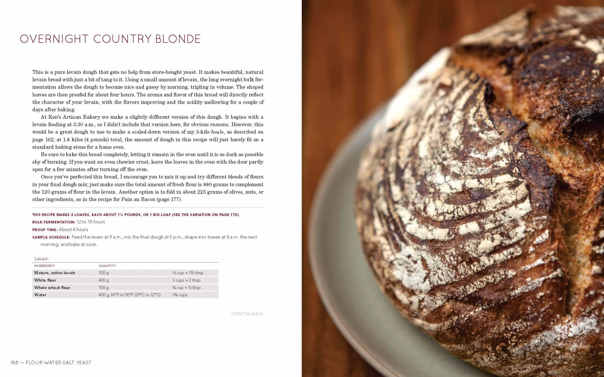 Flour Water Salt Yeast: The Fundamentals of Artisan Bread and Pizza [A Cookbook]