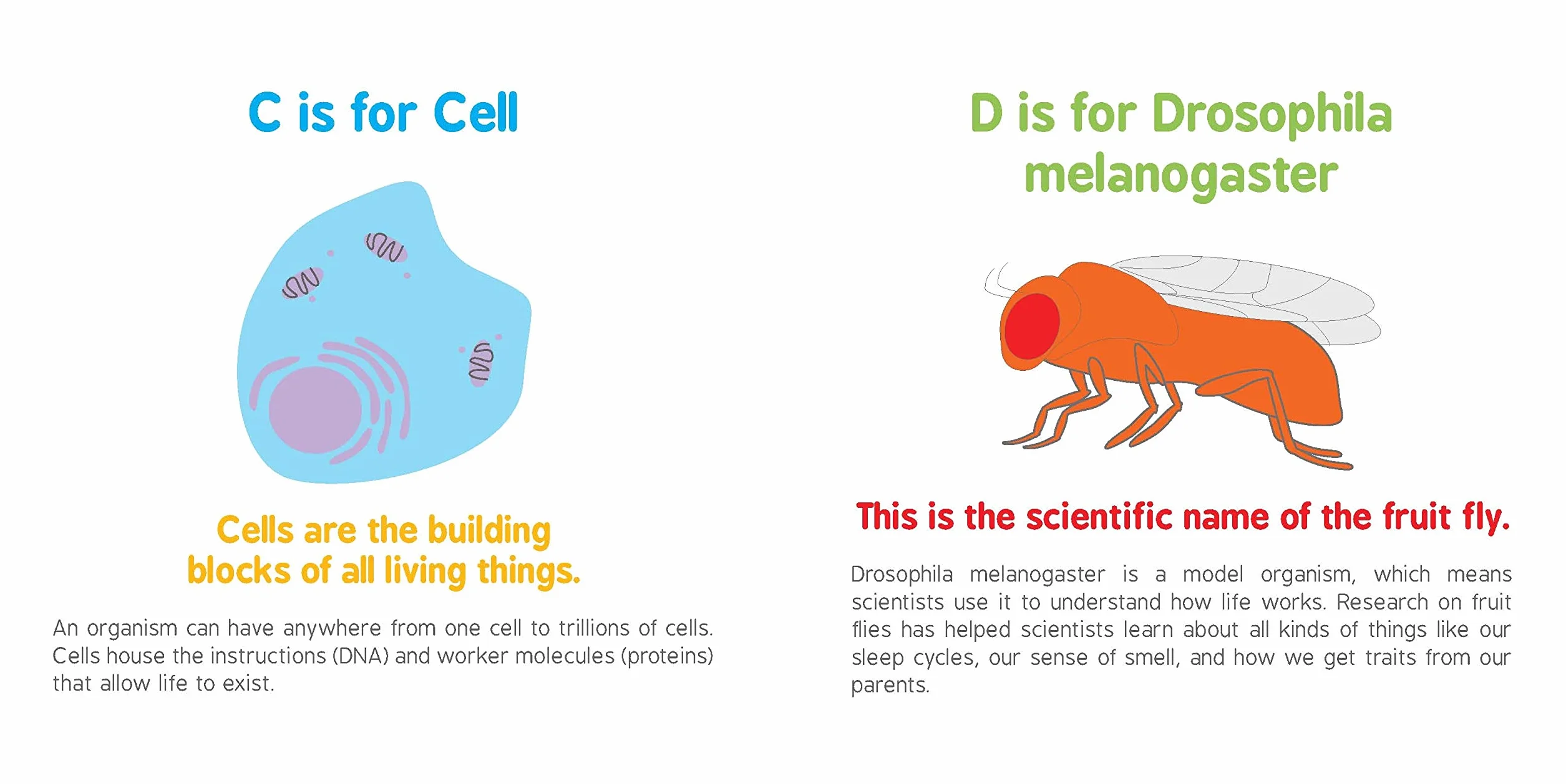 ABCs of Biology: 0 (Baby University)