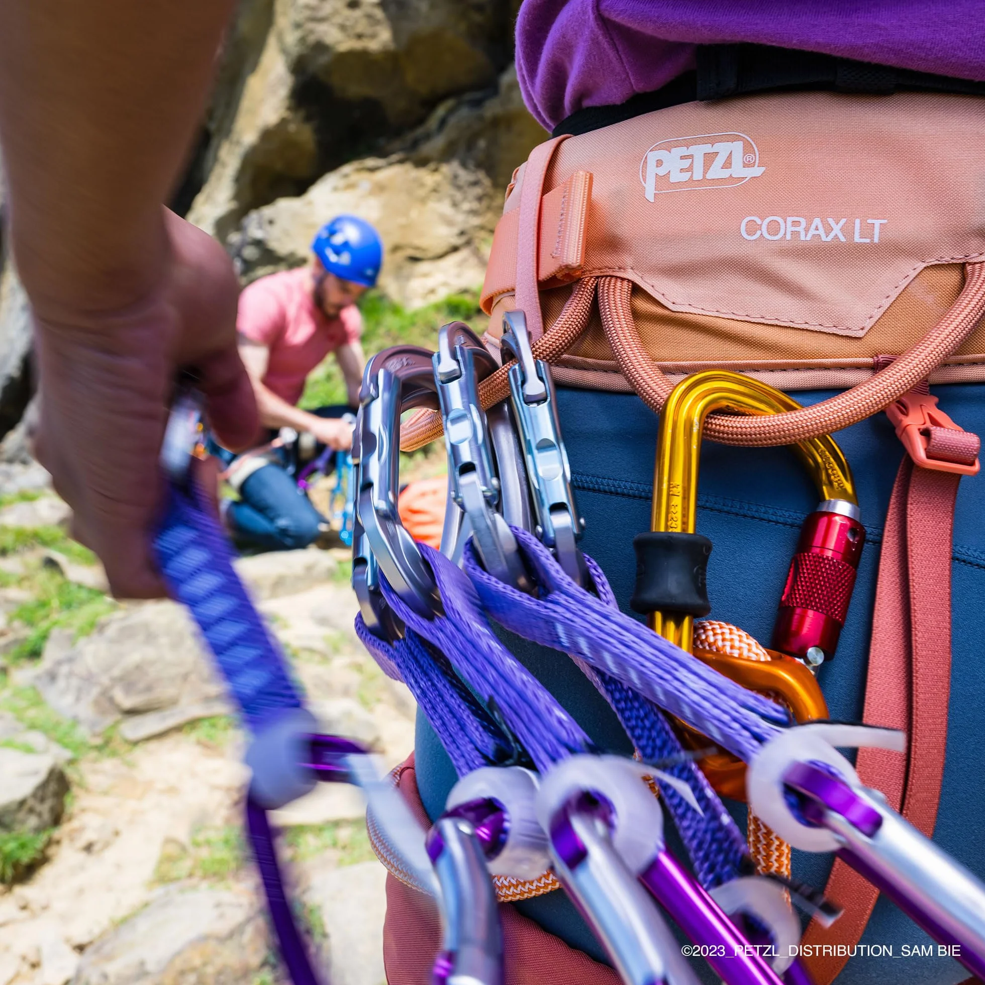 Petzl Djinn Axess Karabinek Wspinaczkowy Wielobarwny Unisex