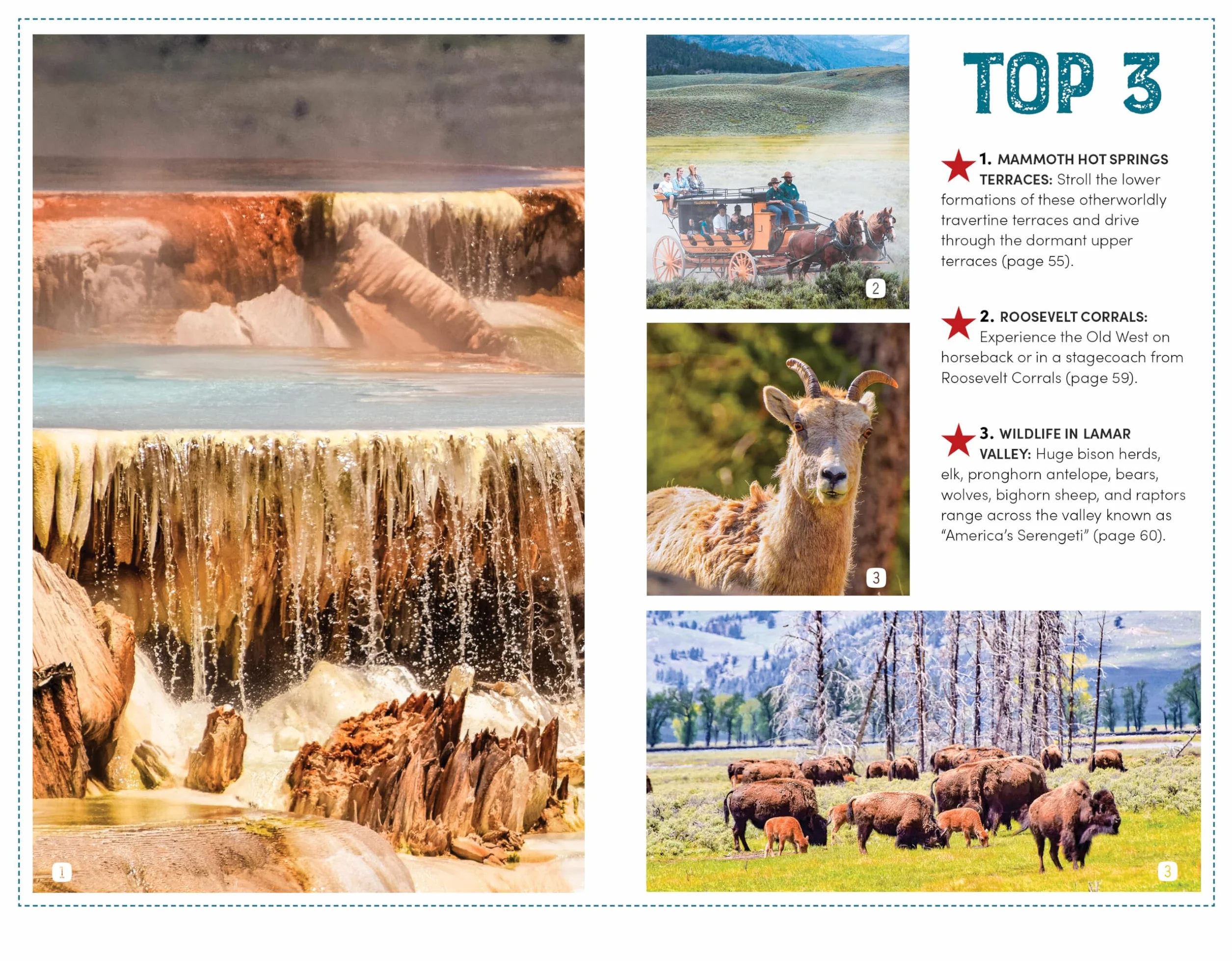 Moon Best of Yellowstone & Grand Teton: Make the Most of One to Three Days in the Parks