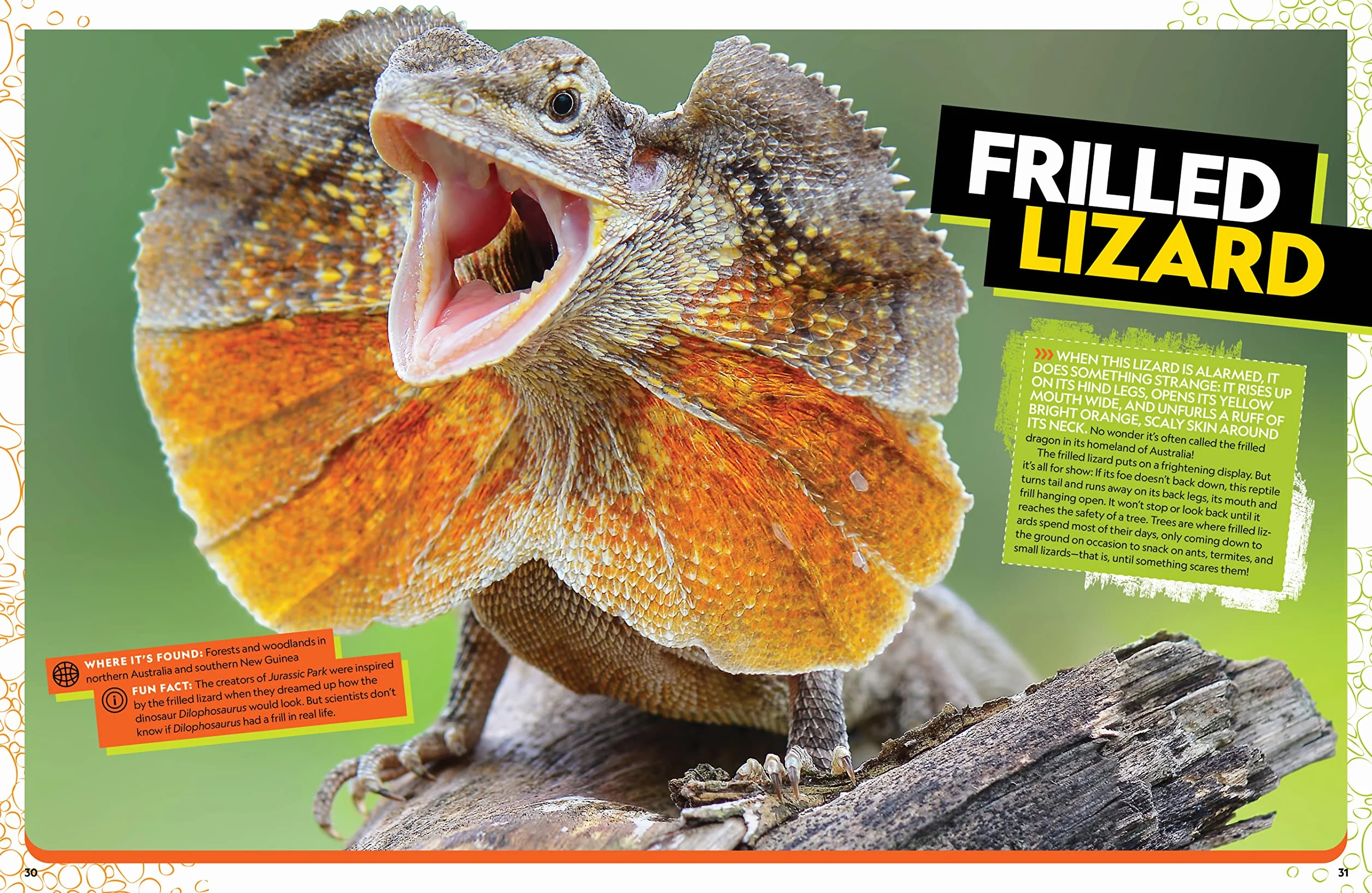 The Ultimate Book of Reptiles: Your guide to the secret lives of these scaly, slithery, and spectacular creatures!