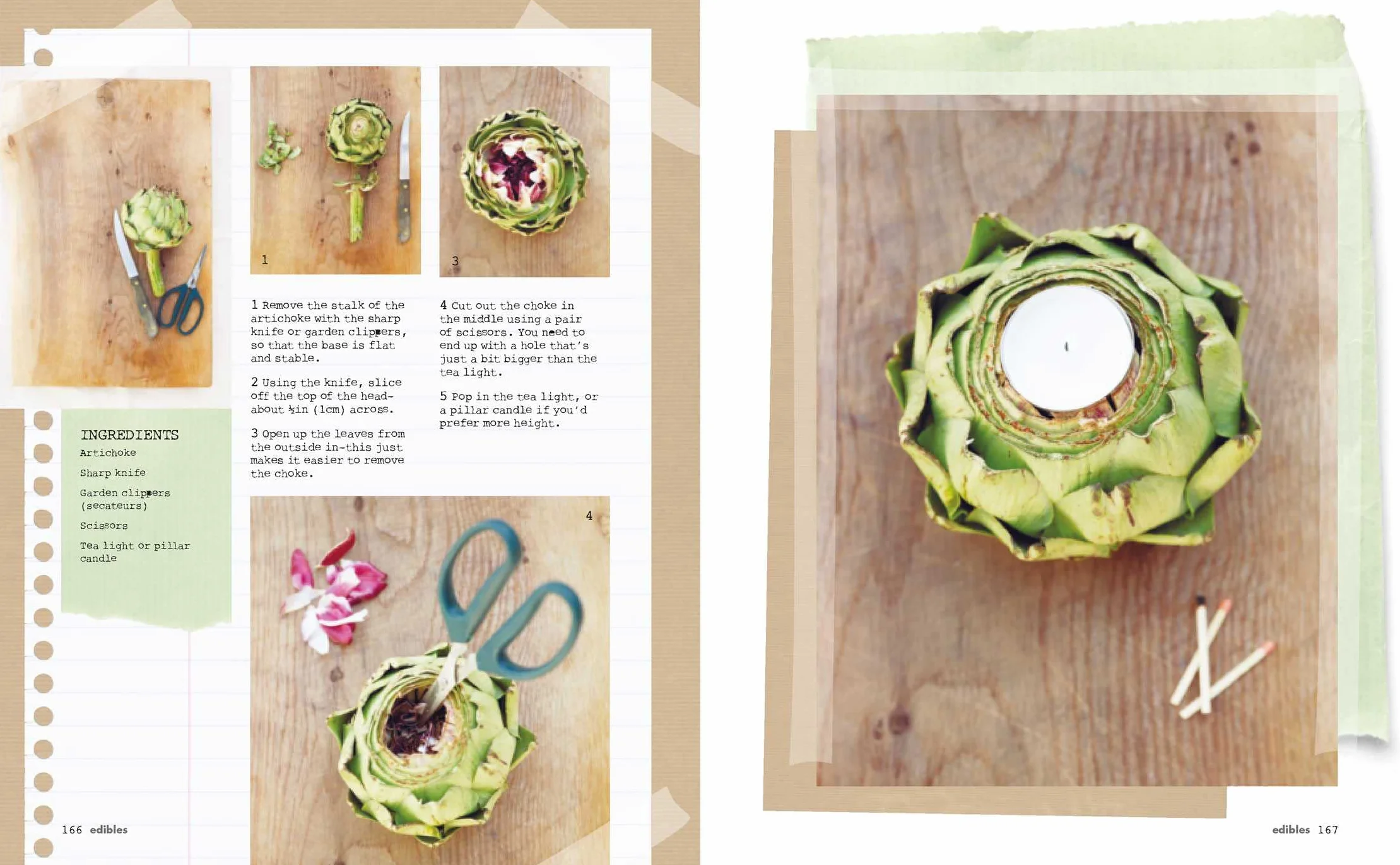 Inspire: The Art of Living with Nature: 50 Beautiful Projects to Bring the Outside in
