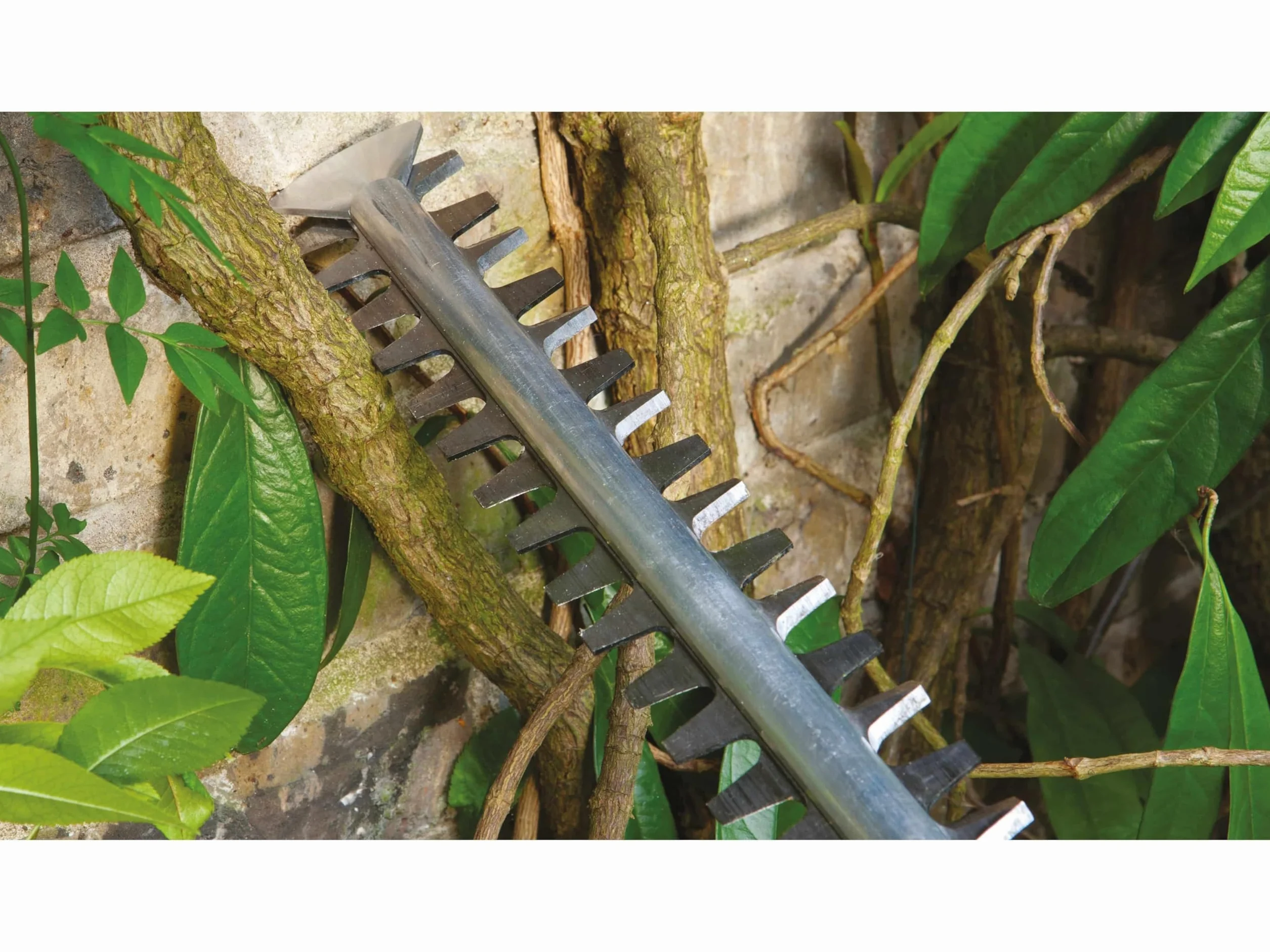 Bosch Advancedhedgecut 65 Nożyce Ogrodowe, Zielony/Czarny, ‎24 x 69 x 2,5 cm; 4 kg
