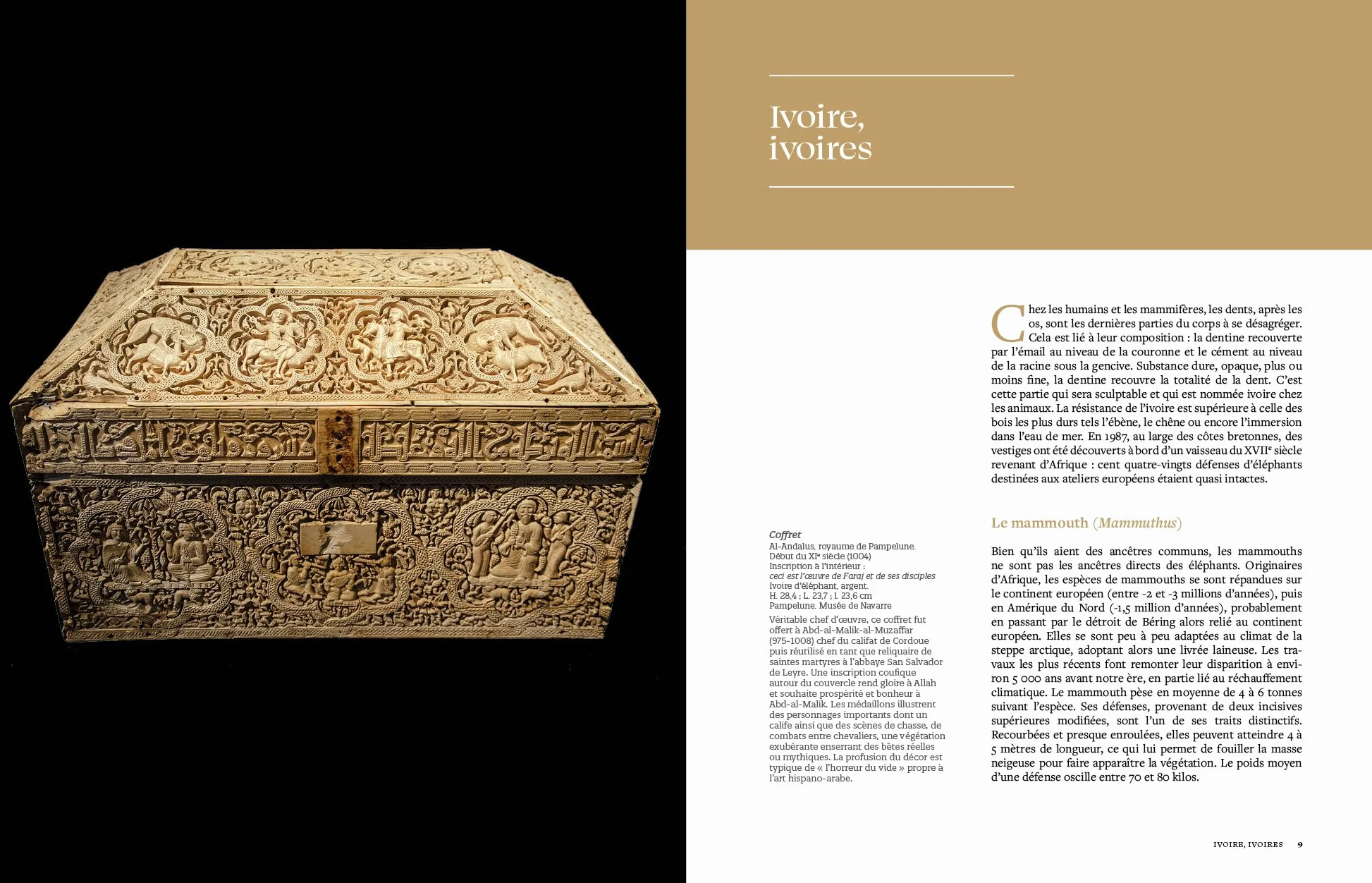 Ivoire: Secrets de l'or blanc