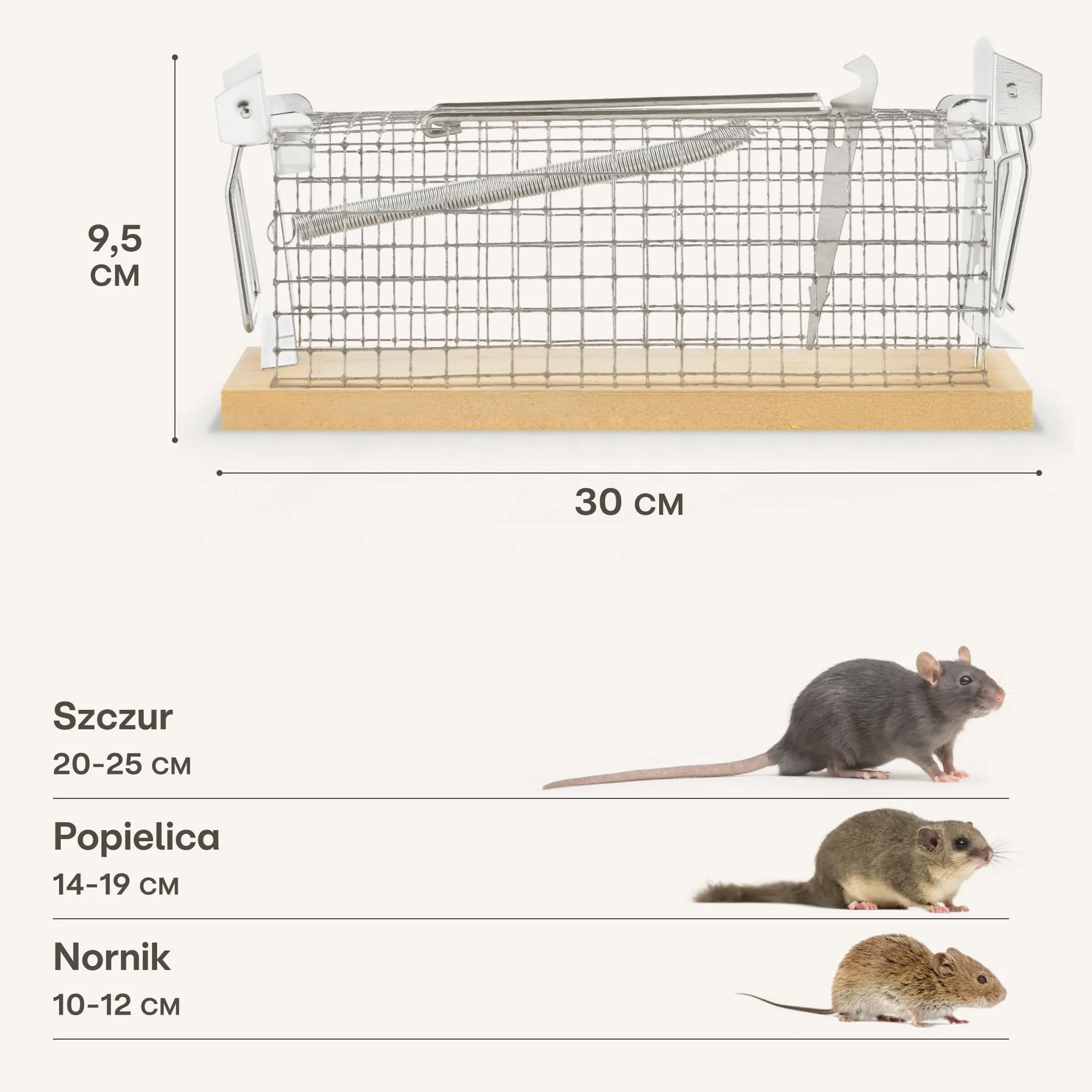 Pułapka Na Szczury Duża 30 cm - Przyjazna Dla Zwierząt i Wielokrotnego Użytku - Gotowa Do Użycia - Na Szczury i Norniki