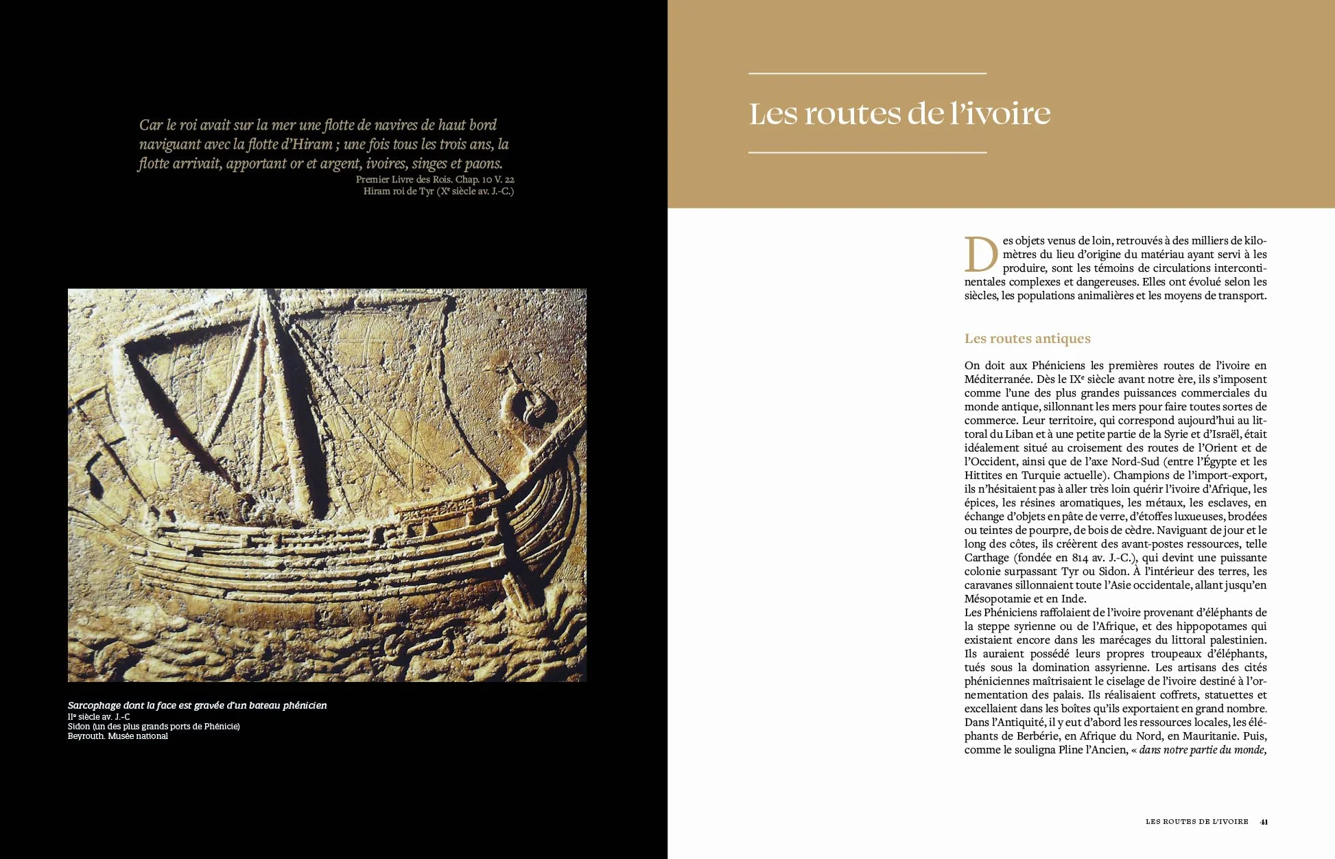 Ivoire: Secrets de l'or blanc