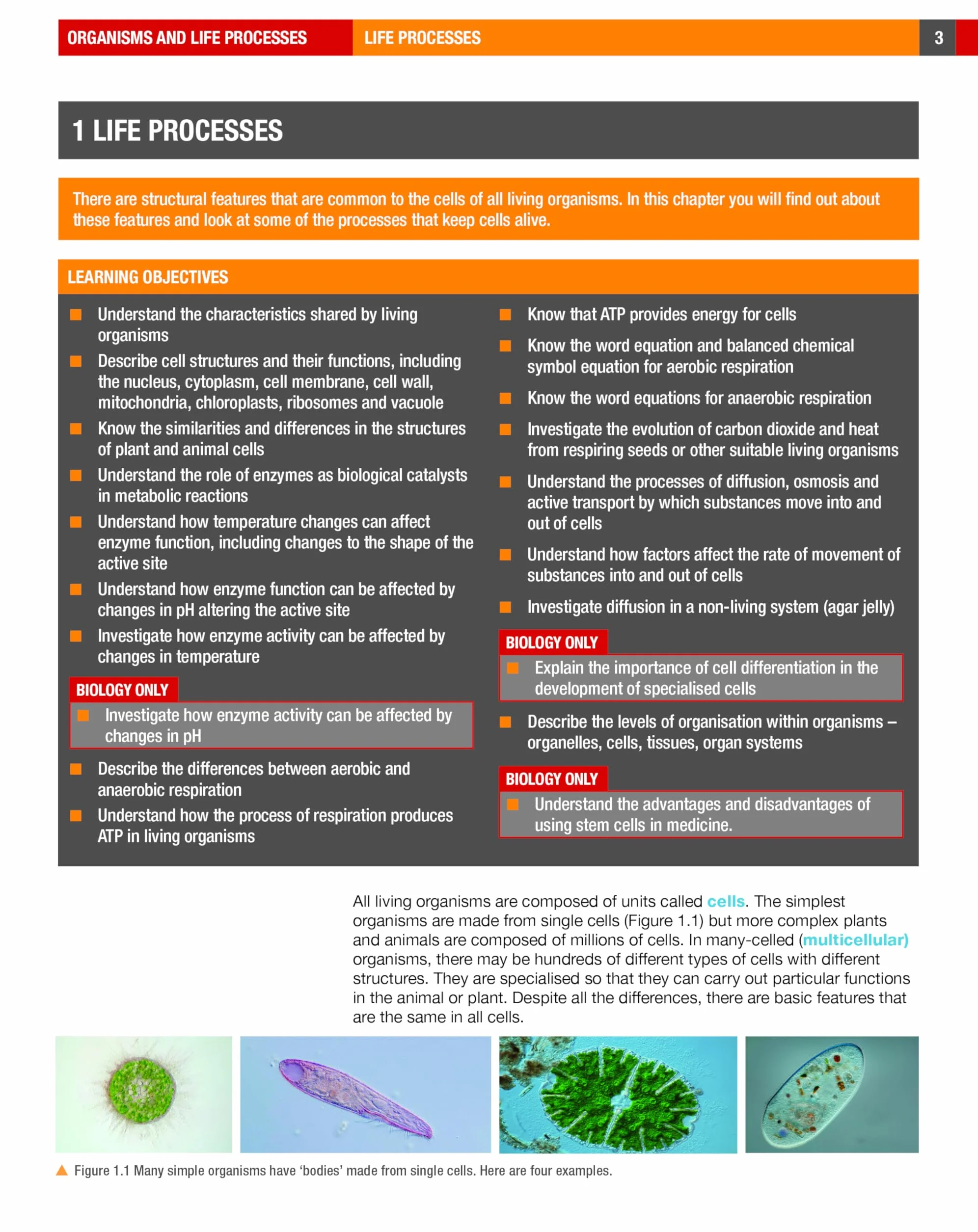 Edexcel international GCSE (9-1). Student's book. Biology. Per le Scuole superiori. Con ebook. Con espansione online