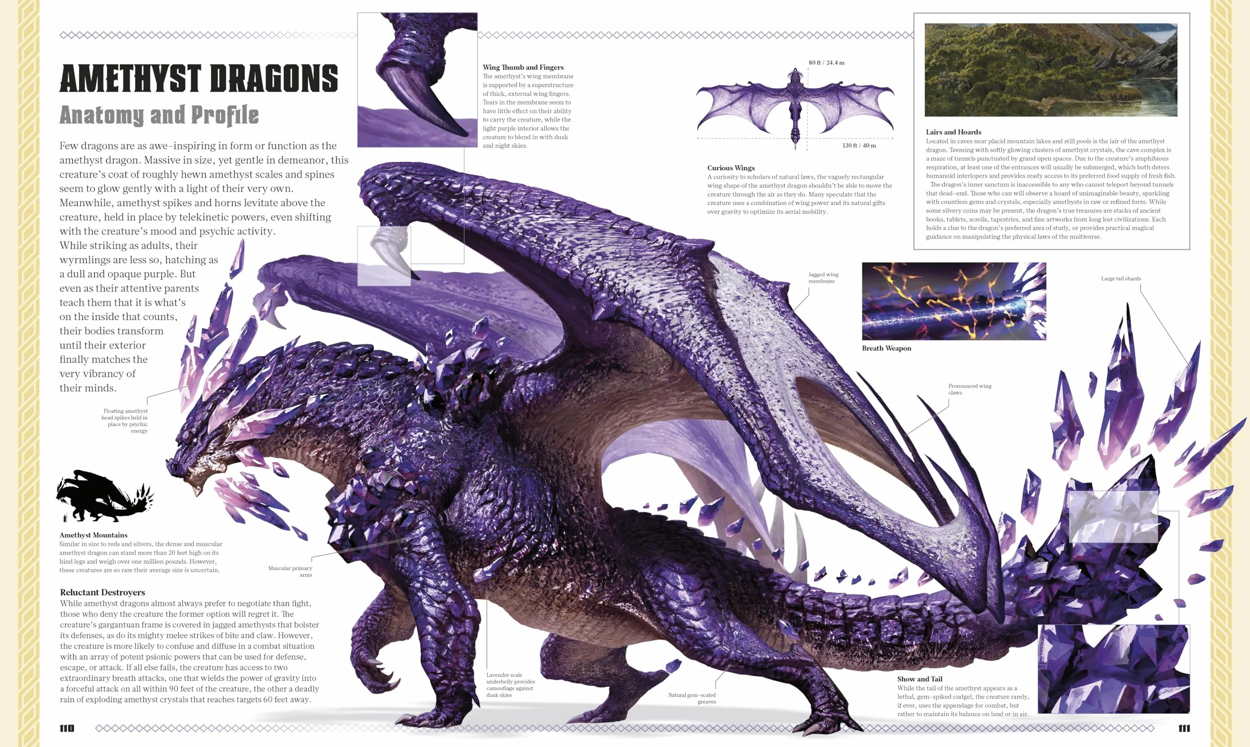 Dungeons & Dragons The Book of Dragons