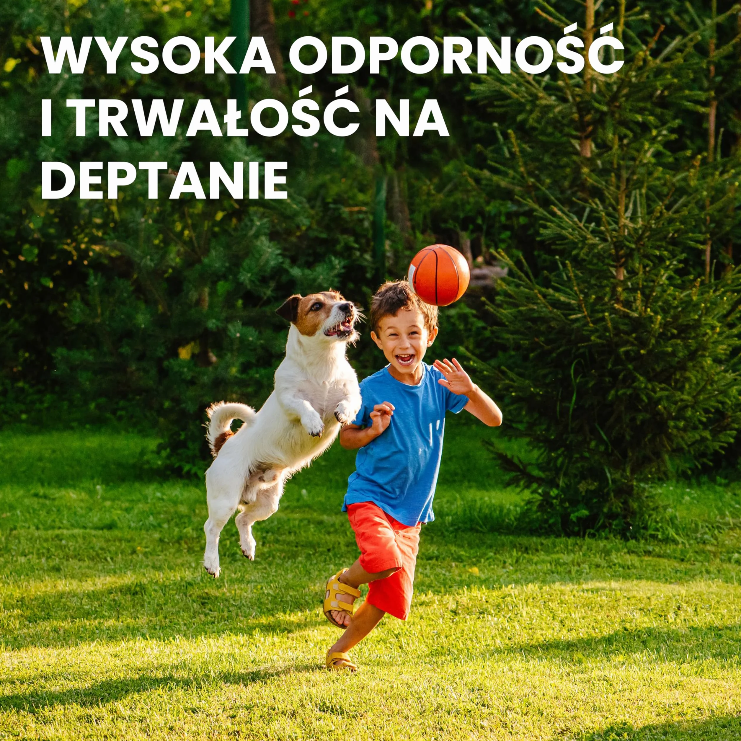 LERAVA® EXPRESS nasiona trawy (70m²) - szybki wzrost i odporność na deptanie - trawa regeneracyjna do ogrodów słonecznych i półcienistych - odporna na suszę - jakość Made in Italy - 1,8 kg