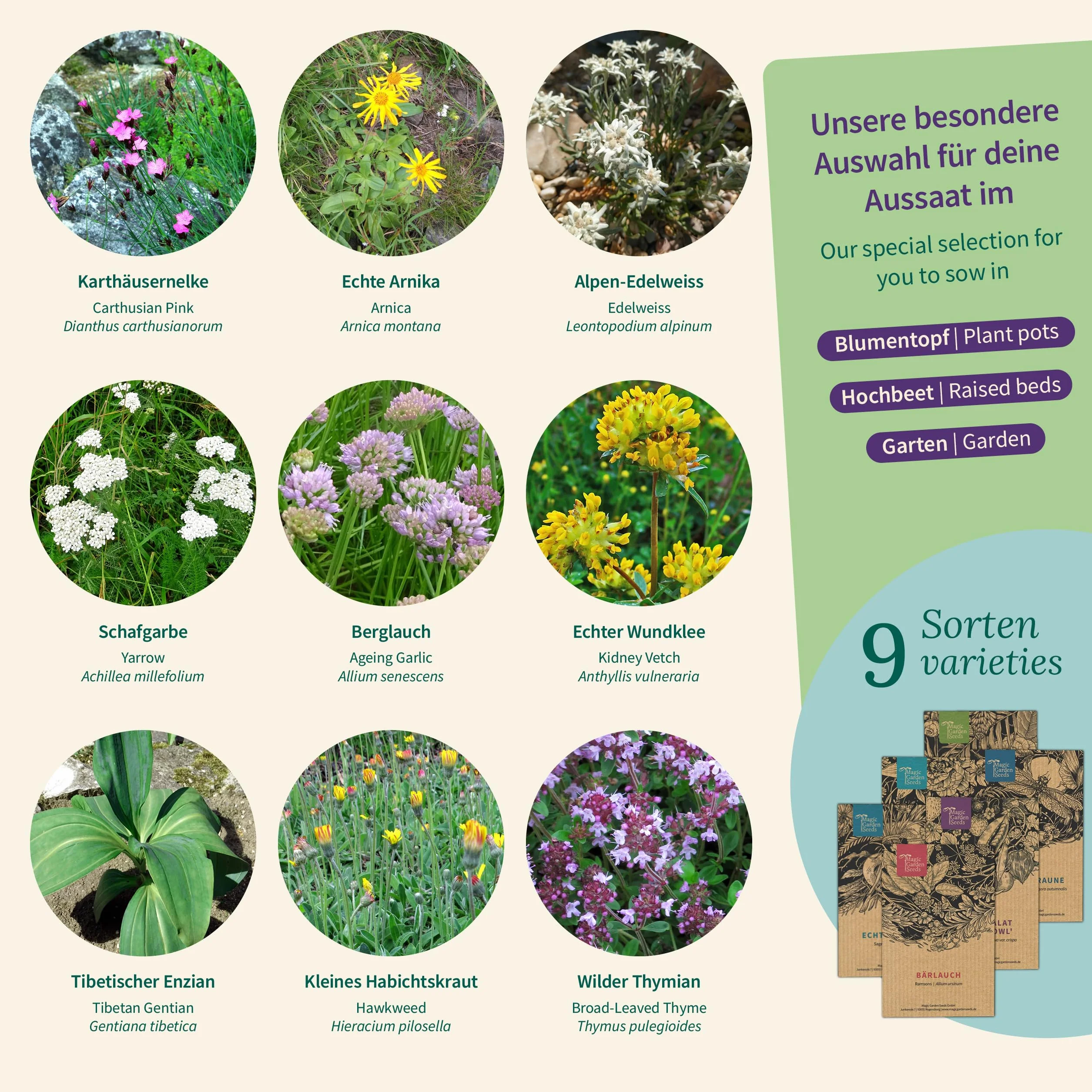 Magic Garden Seeds - Pudełko z nasionami roślin alpejskich z 9 odmianami - dzikie kwiaty i zioła z gór: głodek, jastrzębiec, arnika, rozmaryn, lucerna i inne - odporne i kochające słońce