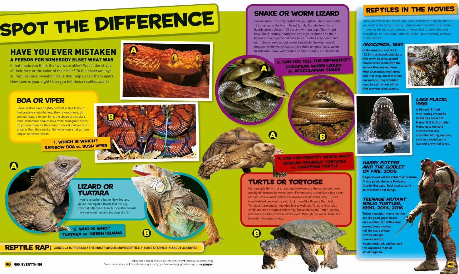 Everything Reptiles: Snap Up All the Photos, Facts, and Fun