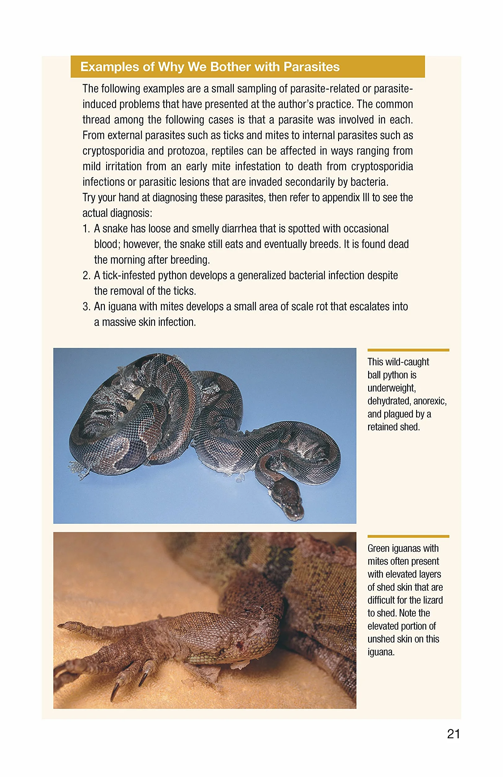 Reptile Parasites
