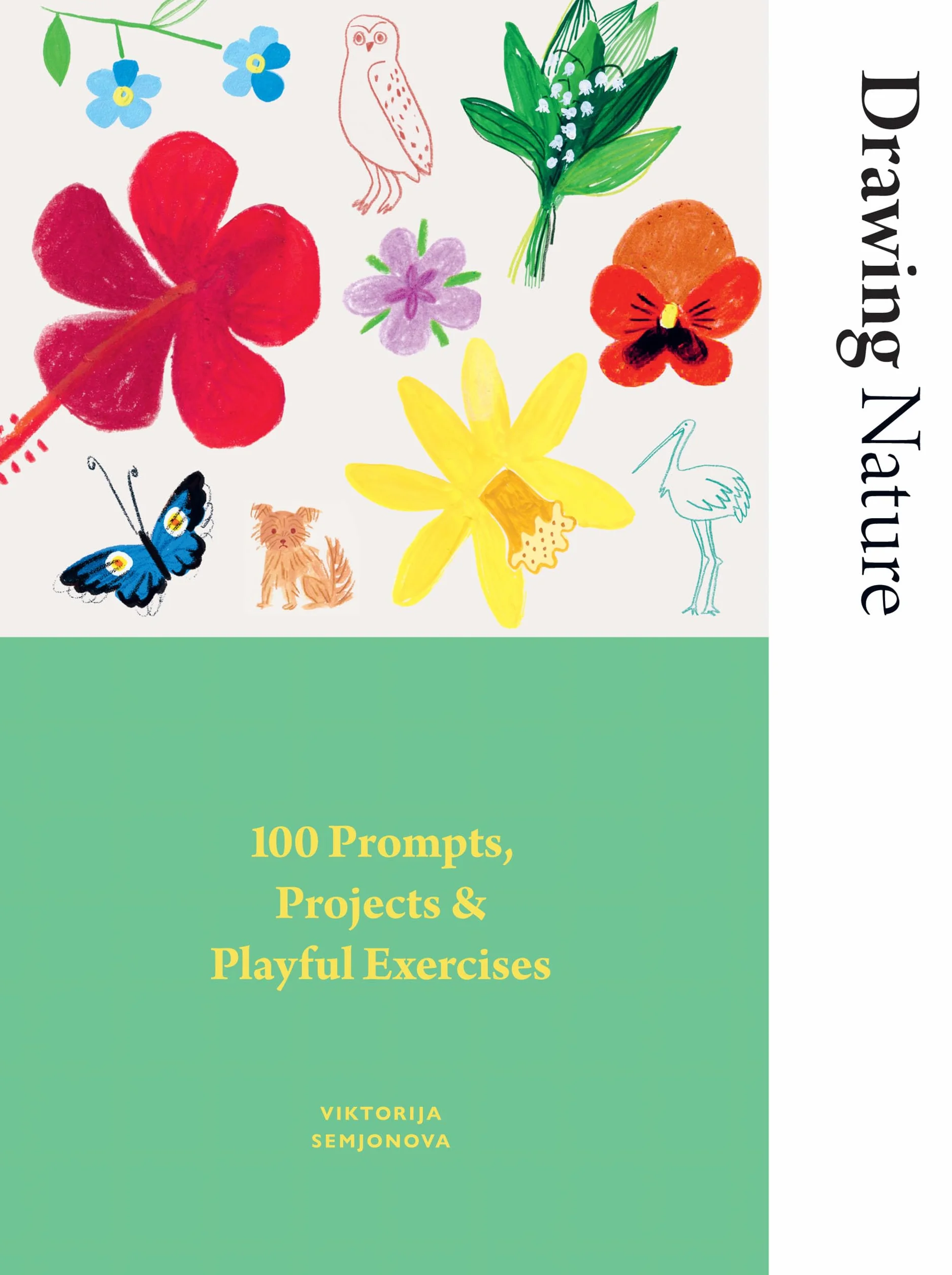 Drawing Nature: 100 Prompts, Projects and Playful Exercises