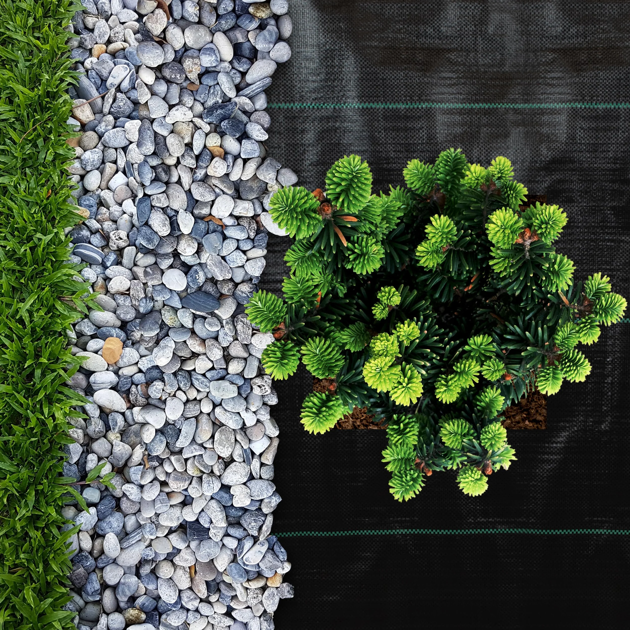 Sillar Folia przeciw chwastom, folia ogrodowa, przepuszczająca wodę, odporna na rozerwanie, z wysoką stabilnością UV (90 g/m², 2x10m)