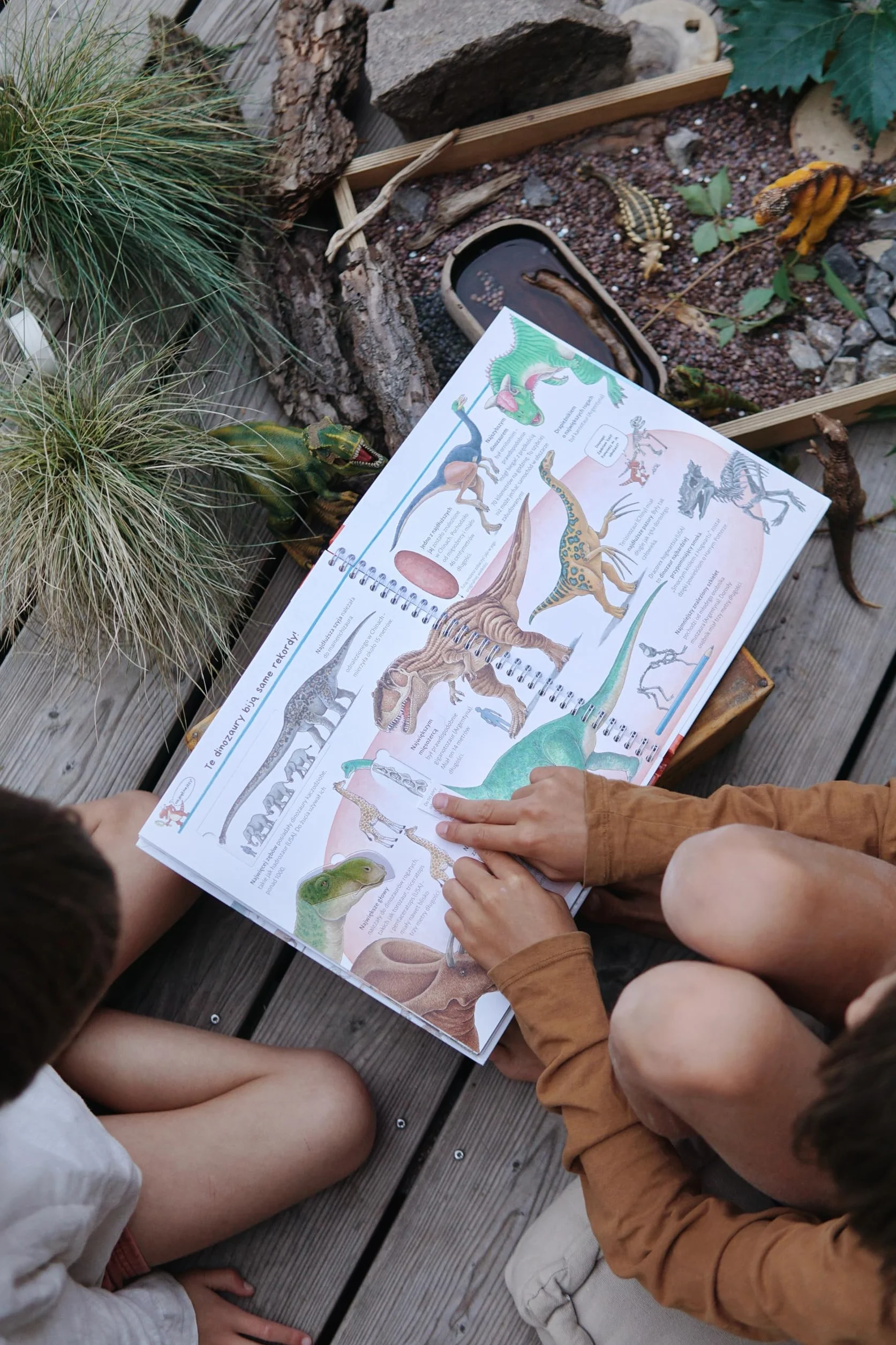 Odkrywamy dinozaury Książka edukacyjna z okienkami Dla dzieci 3-8 lat Popularnonaukowa seria Dlaczego? Kiedy? Jak?