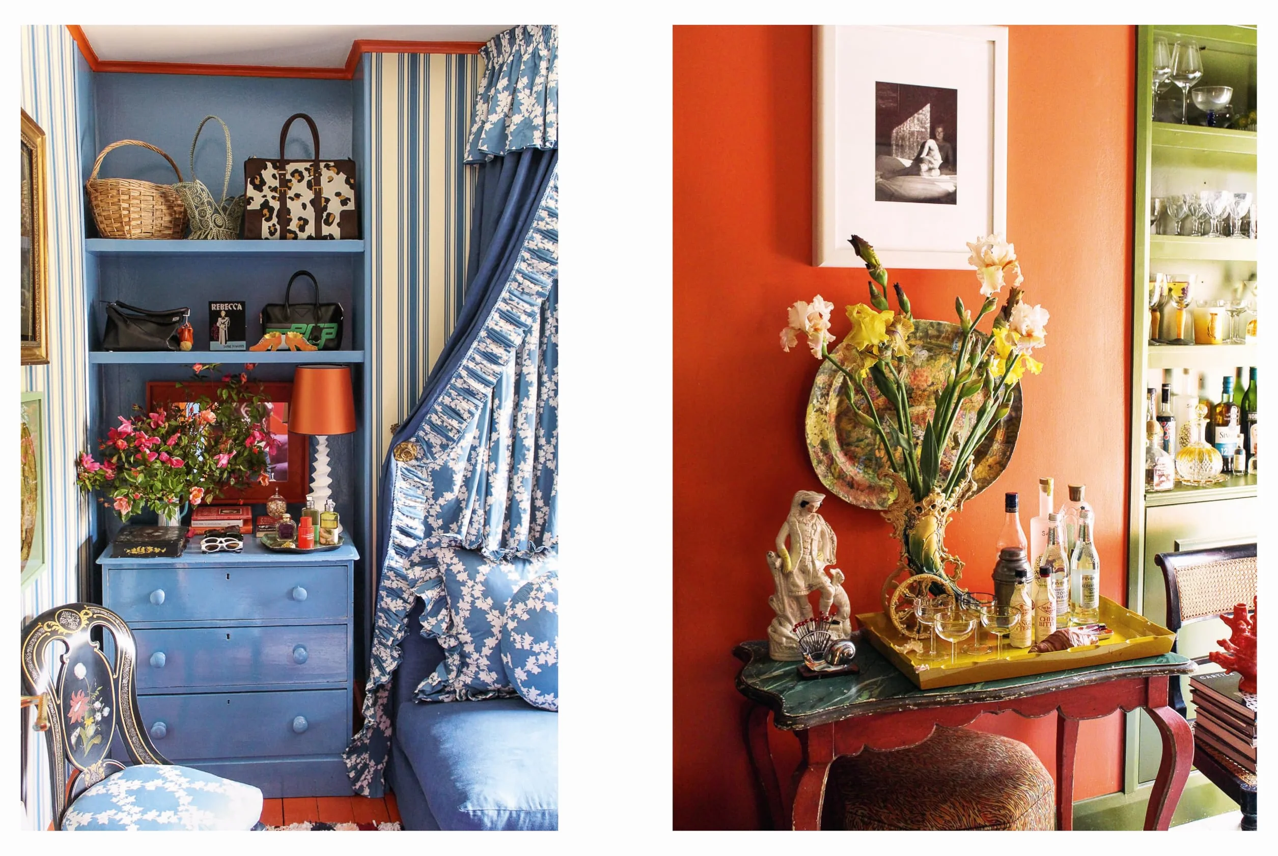 Atmosfloric: Flower colour in home and garden