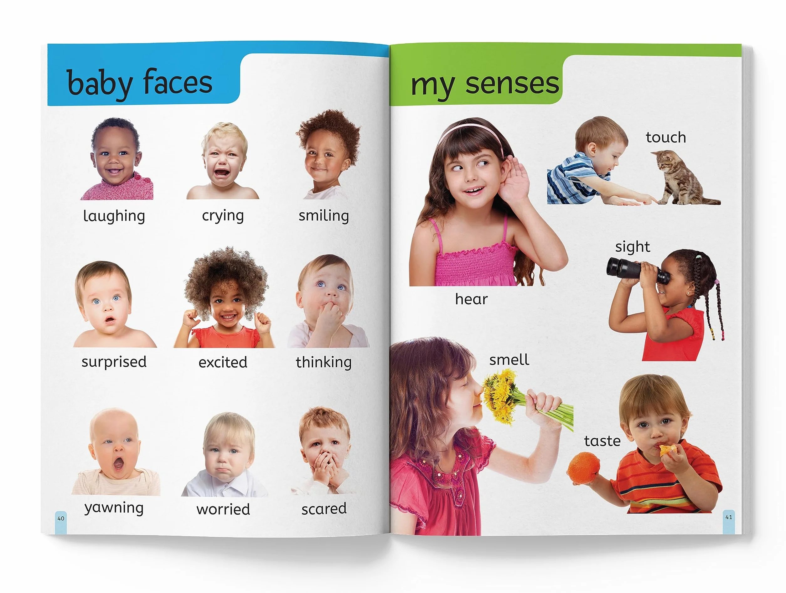 My First 1000 Words: Early Learning Picture Book