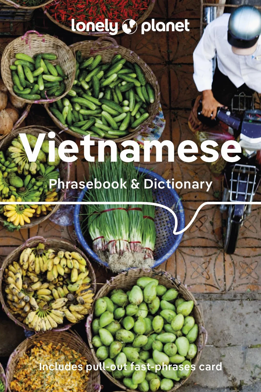 Vietnamese Phrasebook & Dictionary 9ed -anglais-