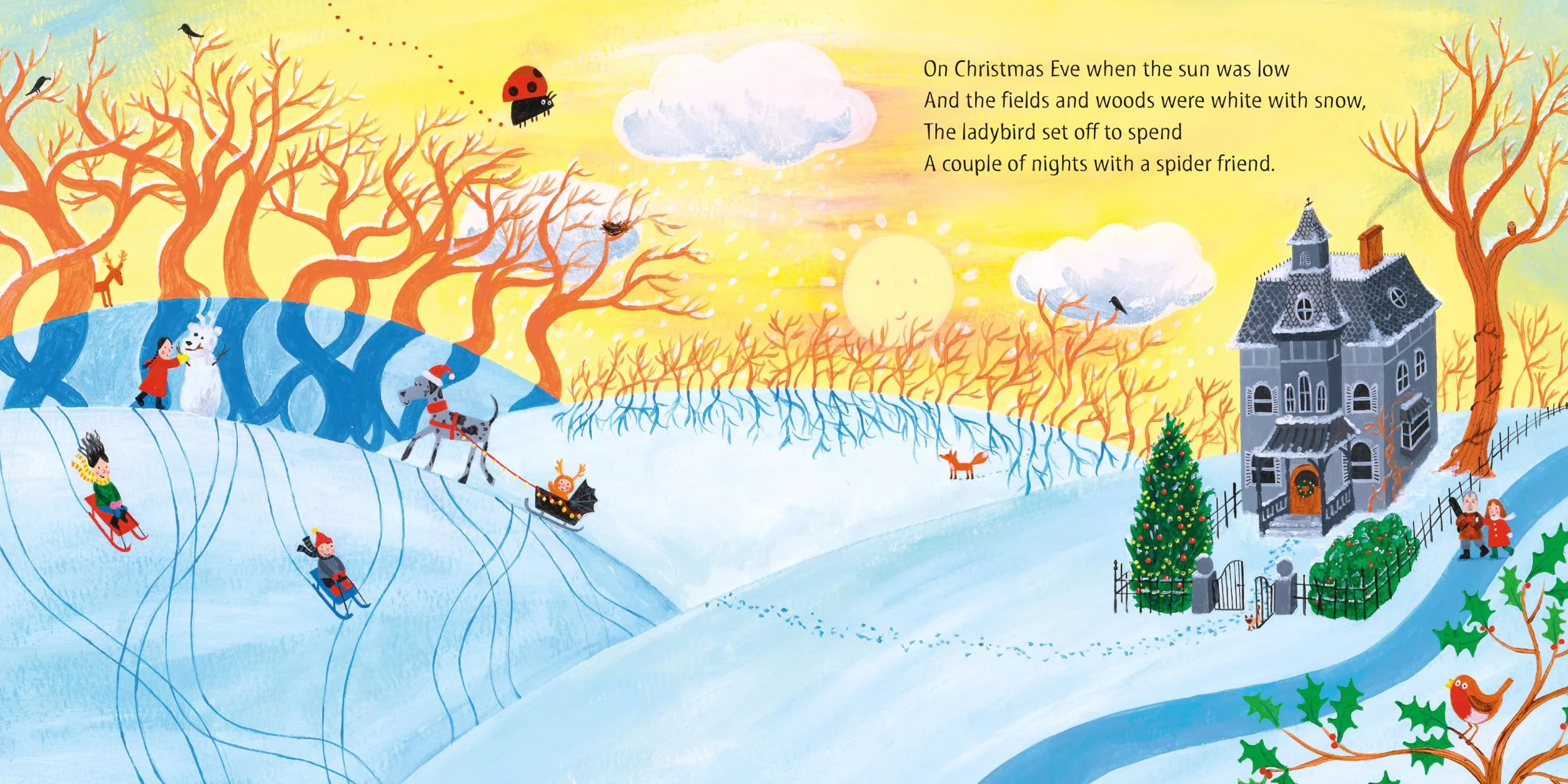 What the Ladybird Heard at Christmas: The Perfect Christmas Gift