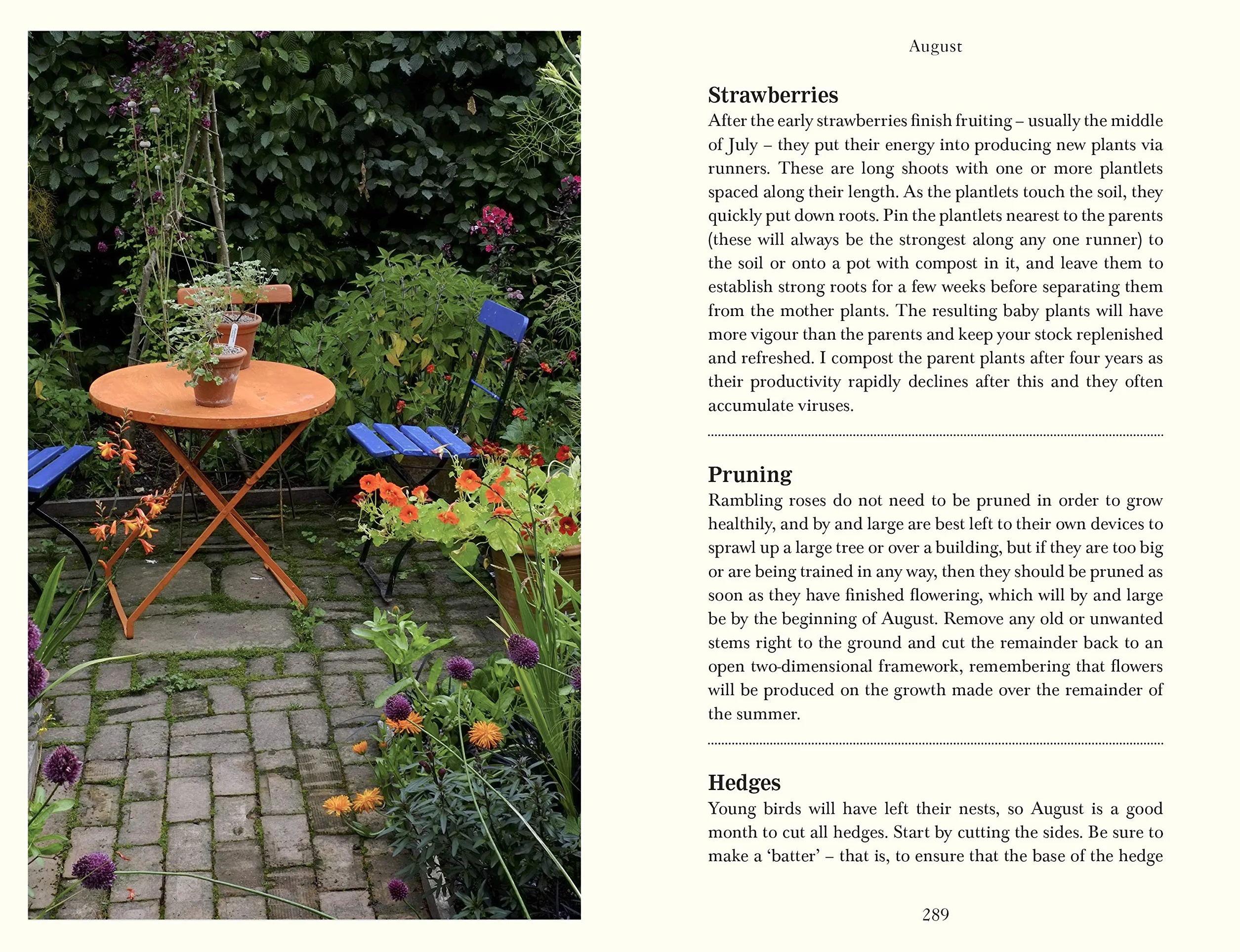 Down to Earth: Gardening Wisdom