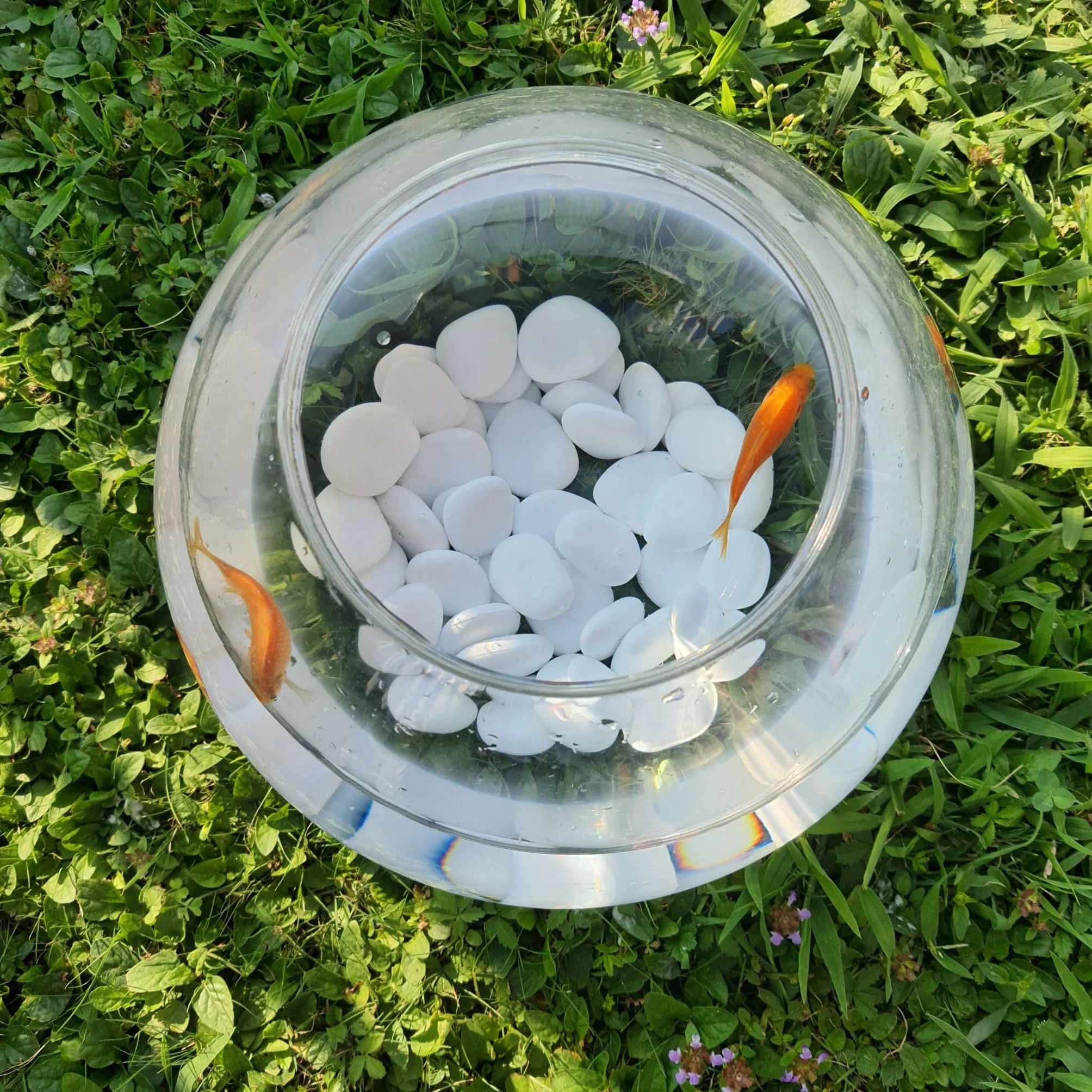 Kamienie dekoracyjne z plastiku z recyklingu do doniczek, malarstwa, akwariów, ogrodu (Small - 25x25, Biały)